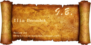 Ilia Benedek névjegykártya